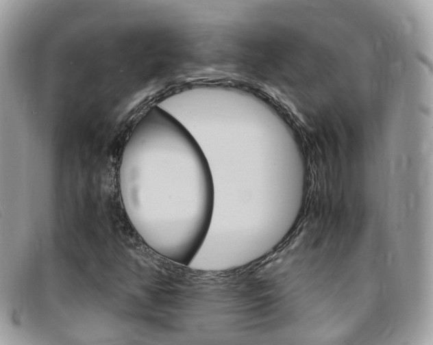 X0000095951350200801110907