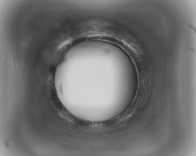 X0000095951351200801110907