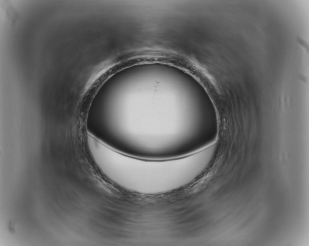 X0000095951352200801110907