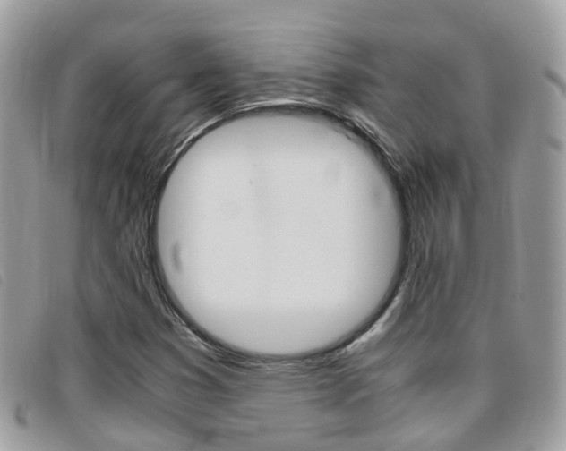 X0000095951353200801110907