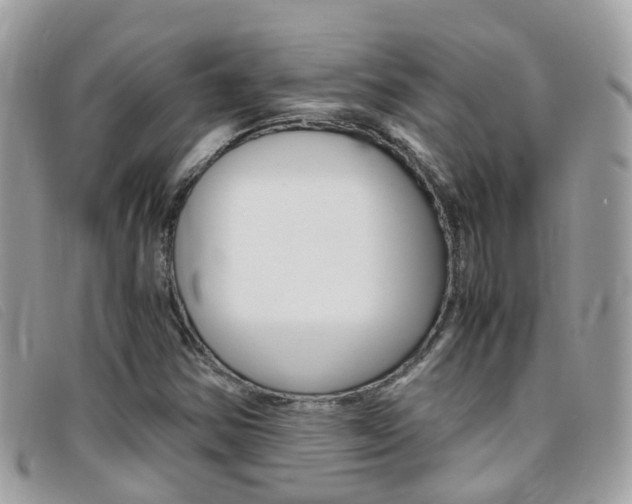 X0000095951354200801110907