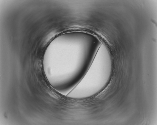 X0000095951355200801110907
