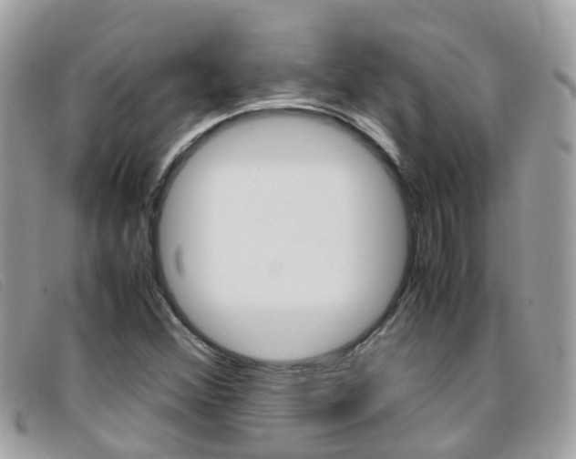 X0000095951356200801110907