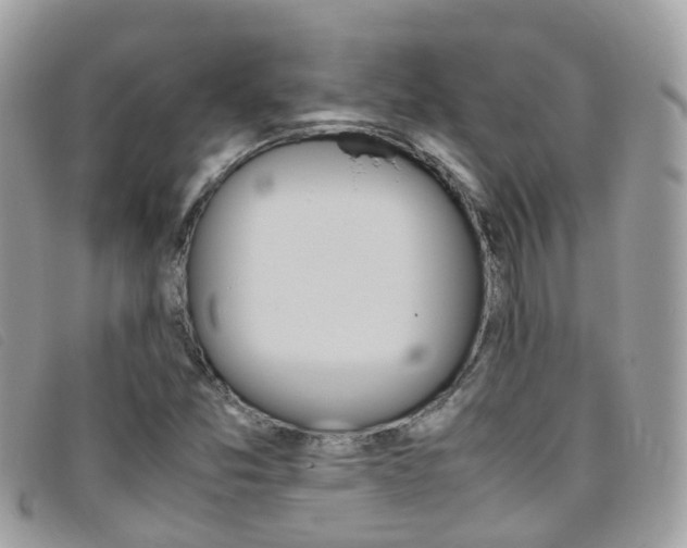 X0000095951357200801110907