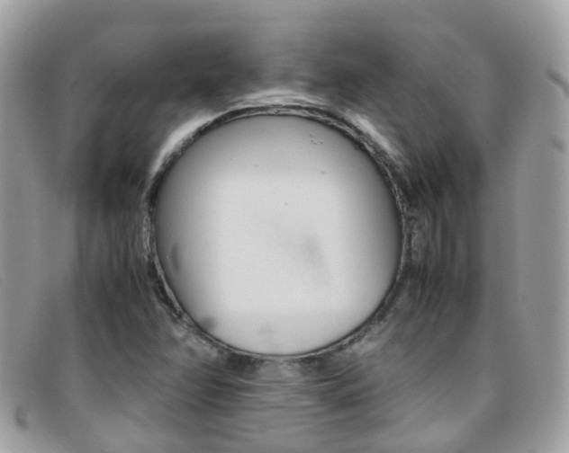 X0000095951358200801110907