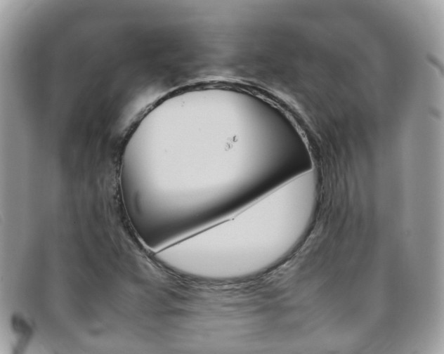 X0000095951359200801110907