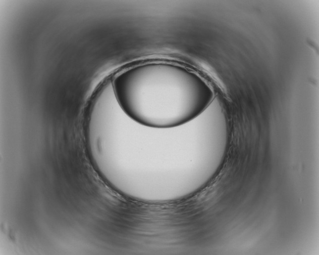 X0000095951360200801110907