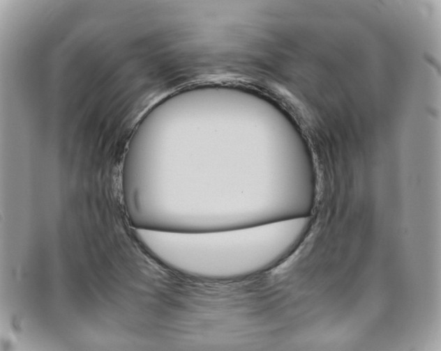 X0000095951361200801110907