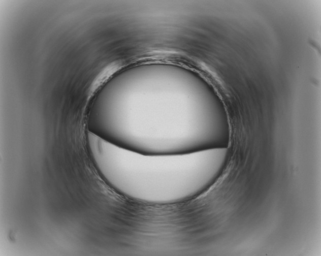 X0000095951362200801110907