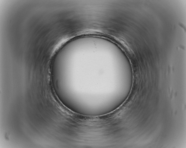 X0000095951363200801110907