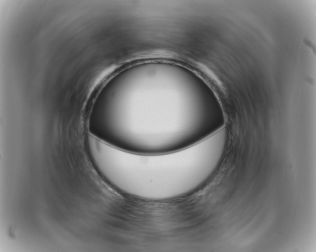 X0000095951364200801110907