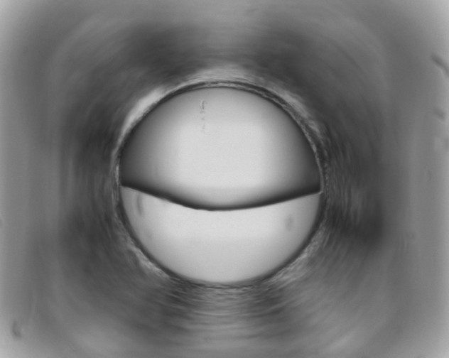 X0000095951366200801110907