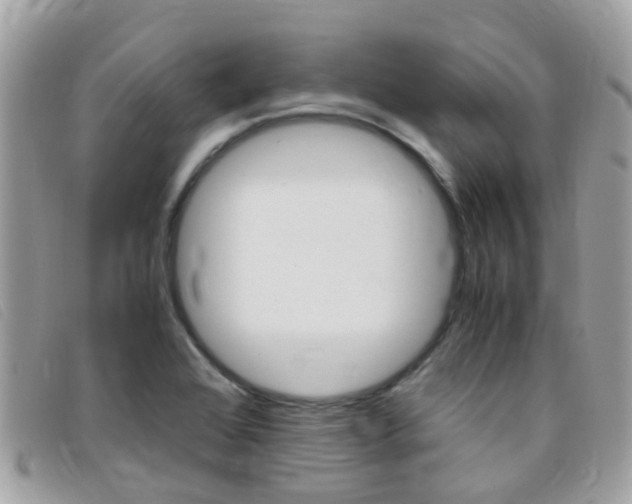 X0000095951368200801110907