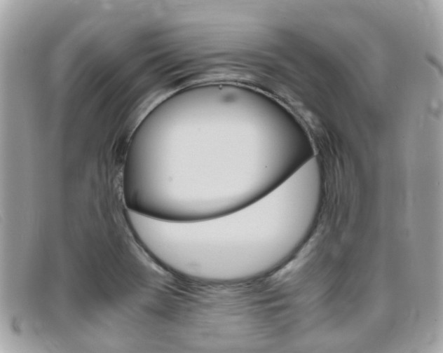 X0000095951369200801110907
