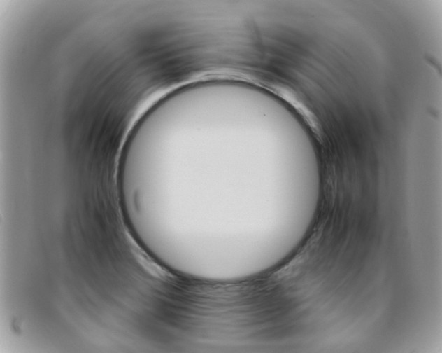 X0000095951372200801110907