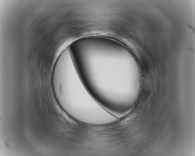 X0000095951373200801110907