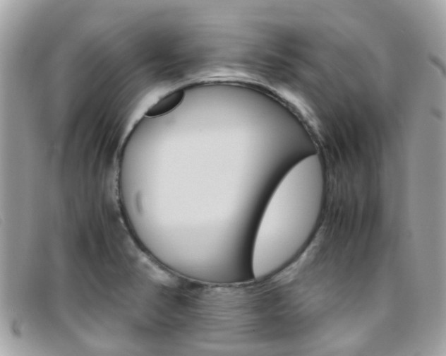 X0000095951374200801110907