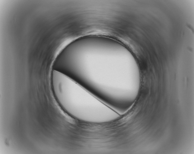 X0000095951375200801110906