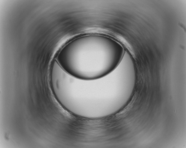 X0000095951376200801110906