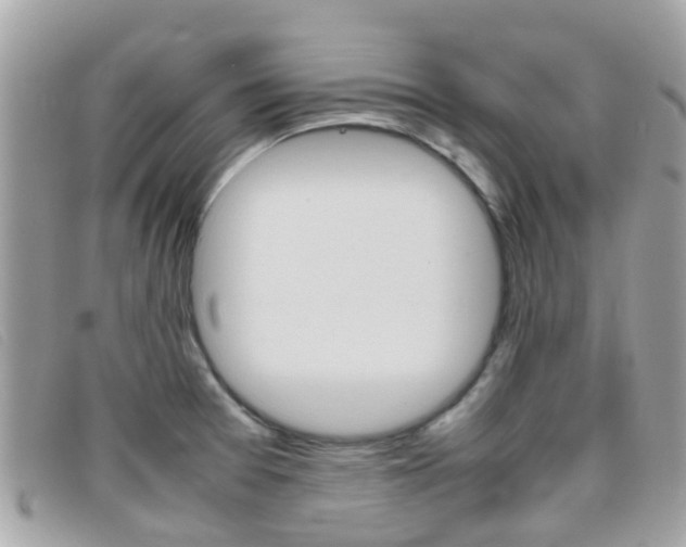 X0000095951377200801110906