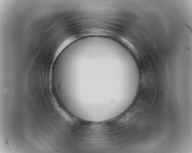 X0000095951378200801110906