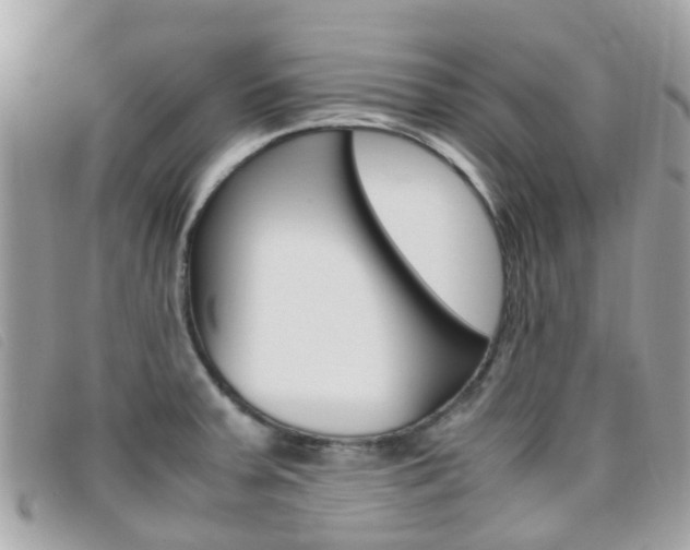 X0000095951379200801110906