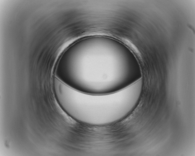 X0000095951380200801110906