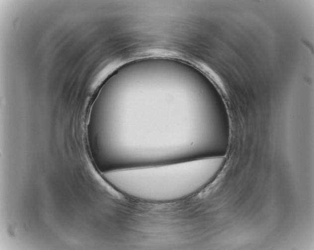 X0000095951381200801110906