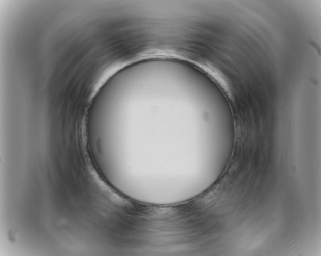 X0000095951382200801110906