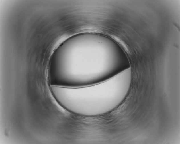 X0000095951383200801110906