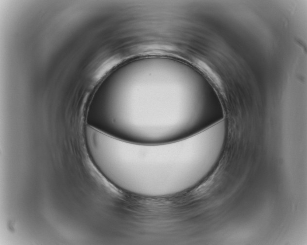 X0000095951384200801110906