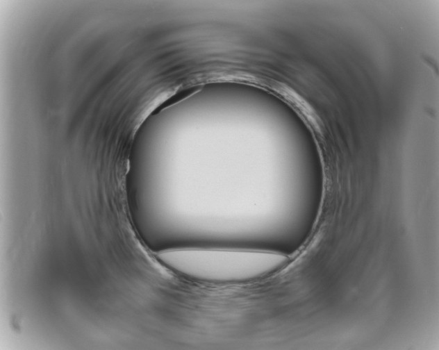 X0000095951385200801110906