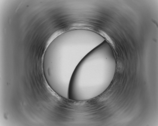 X0000095951386200801110906
