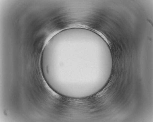 X0000095951387200801110906