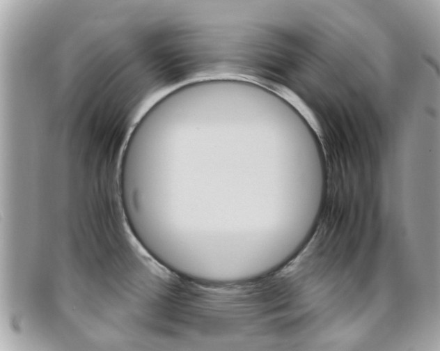 X0000095951388200801110906