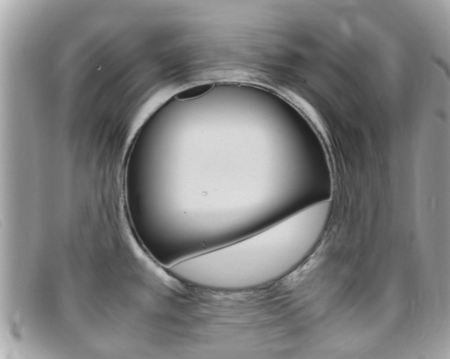 X0000095951389200801110906