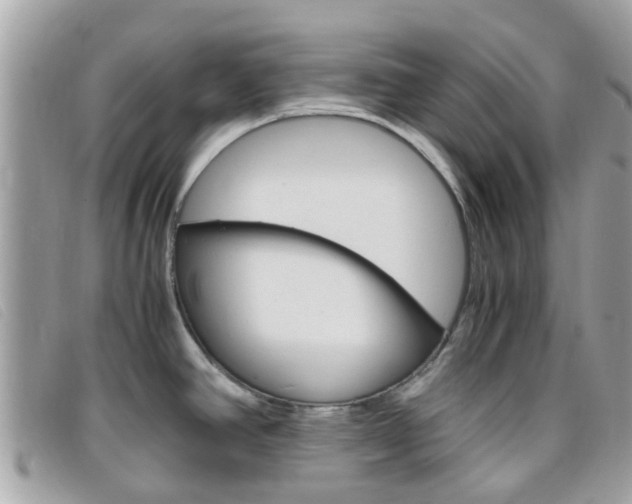 X0000095951390200801110906