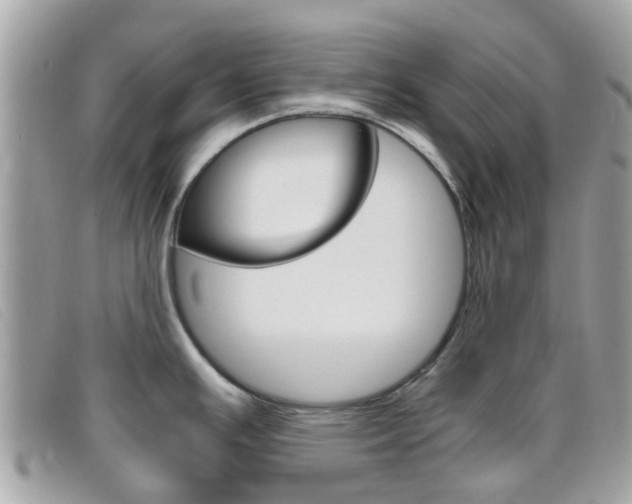 X0000095951391200801110906
