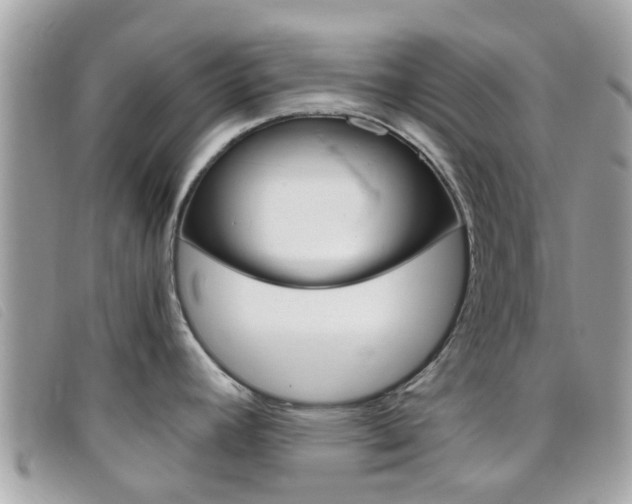 X0000095951392200801110906