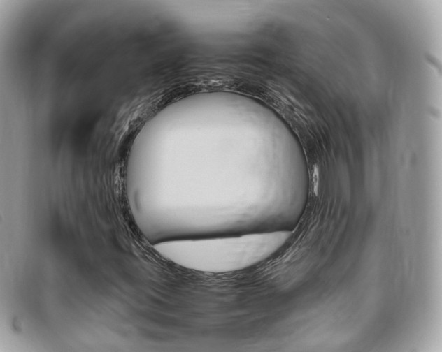 X0000095951395200801110906