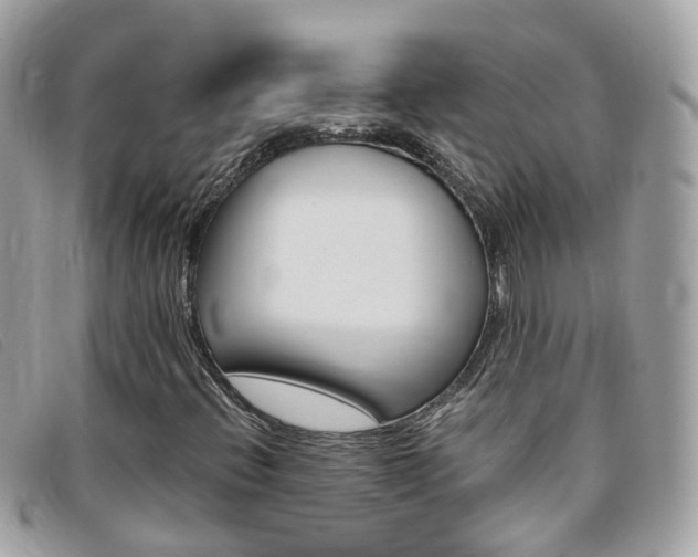 X0000095951396200801110906