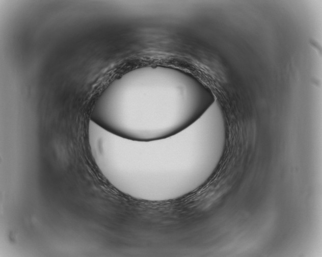 X0000095951397200801110906