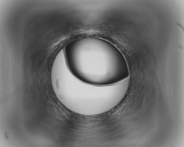 X0000095951398200801110906