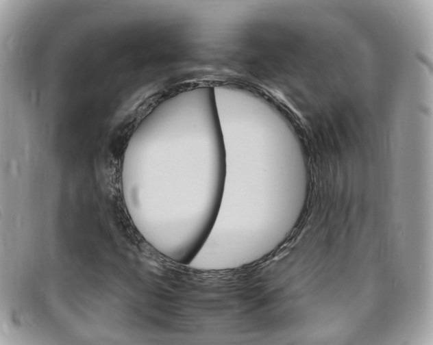 X0000095951399200801110906