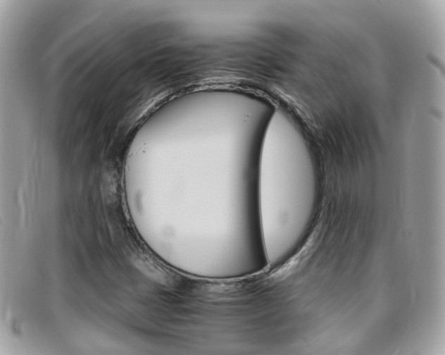 X0000095951401200801110906