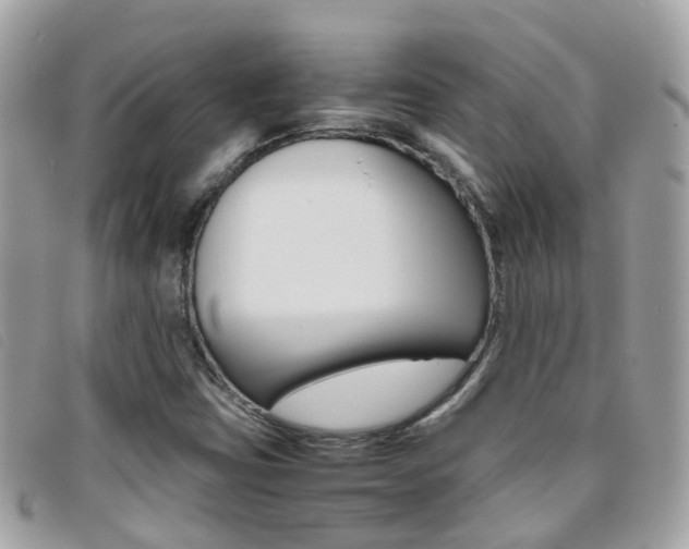 X0000095951403200801110906