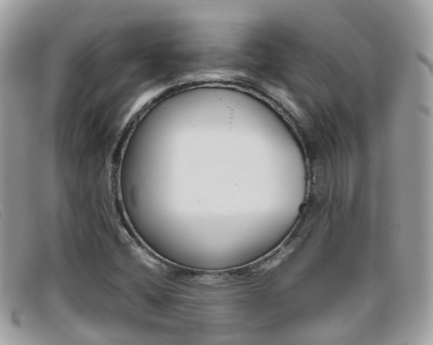 X0000095951404200801110906