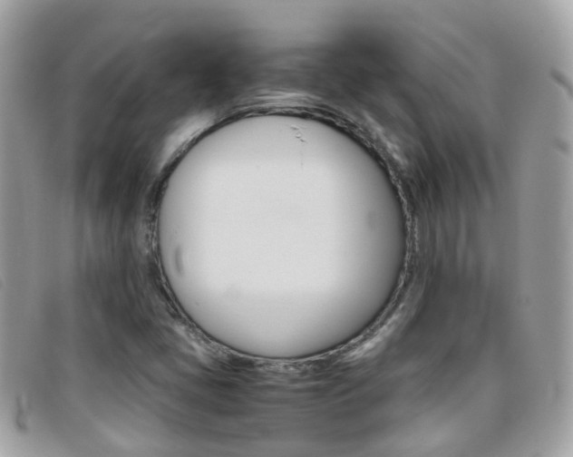 X0000095951405200801110906