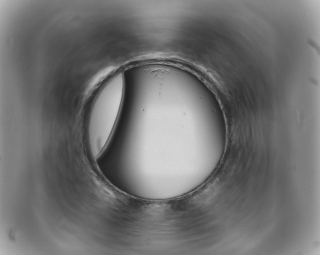 X0000095951406200801110906