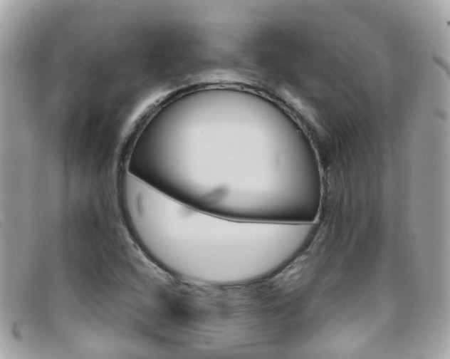 X0000095951408200801110906